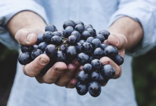 Un agriculteur tenant dans la main des raisins.
