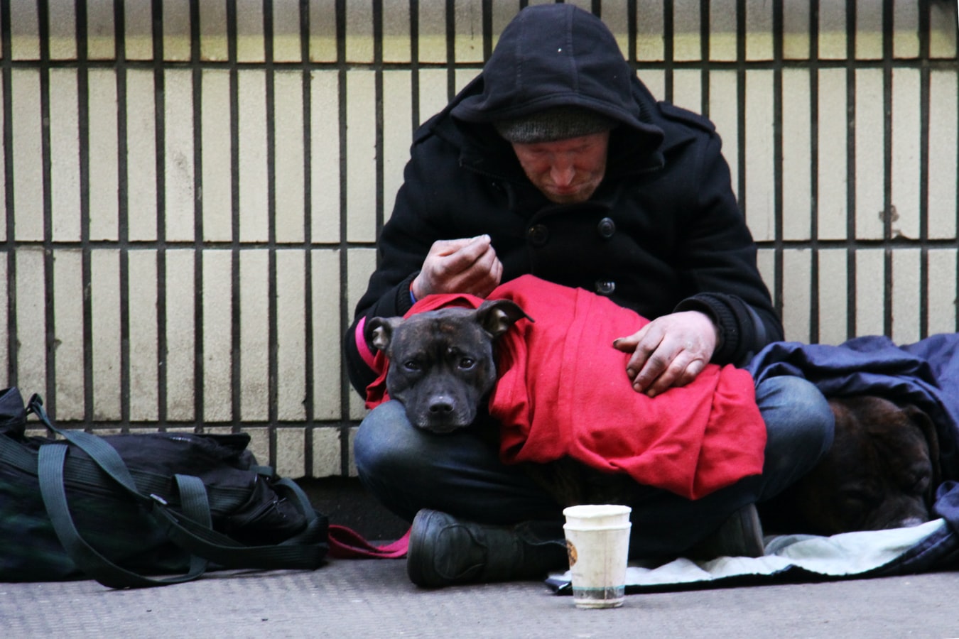 Un sans abri dans une rue de Londres (Angleterre) avec son chien.