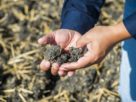 Le géant américain du négoce et de la transformation de matières premières Cargill annonce la construction de sa première usine de biodiesel deuxième génération, qui transformera déchets et résidus.